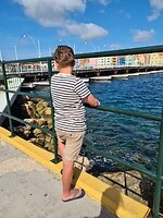Kijken naar de Pontjesbrug die open gaat