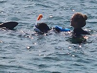 Snorkelen met Kanoa en Sami