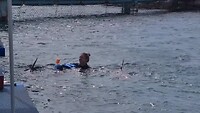 Zwemmen met 2 dolfijnen en een snorkel😁