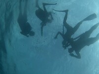 Nog van het snorkelen van 6 mei