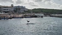 Salto van Nubia