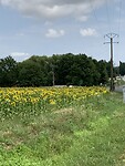 IMG_5101