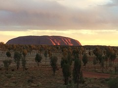Het laatste licht op Uluru
