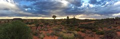 Panorama met links Uluru en rechts de Olga's