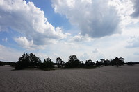 Soesterduinen