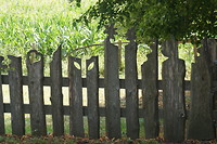 Het leukste hek ooit. Was heeeel lang, dus dit is een detail.