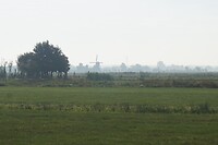 Zuid-Holland!