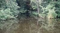 Mooi hè? 15 km van huis, in het Loetbos bij Krimpen a/d IJssel. Wij vonden het een mooie start.