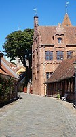 Ribe