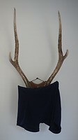 Hoe droog je de was zonder kleerhangers?