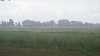 Het regengordijn vanuit het bushokje.