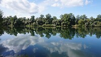 De oude Rijn