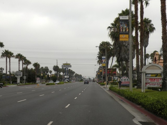 DSCN1668
