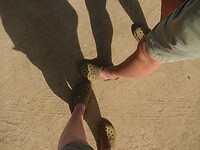Crocs voor in het water