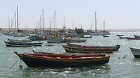 Haven Palmeira