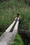 Irrigatiekanaal