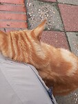 Warm welkom in IJzendijke
