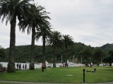 Picton, lijkt tropisch