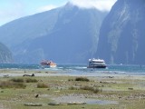 Milford sound boot
