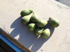 IMG_0991