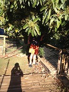 IMG_0993
