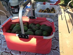 IMG_0994