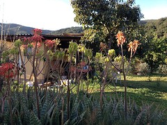 IMG_0999