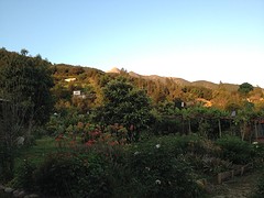 IMG_1002