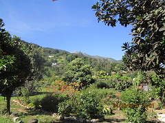 IMG_2593