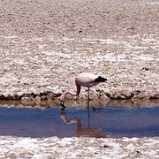 IMG_1177