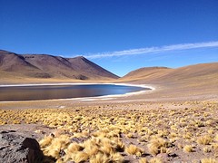 IMG_1098