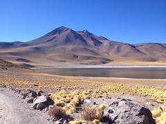 IMG_1099