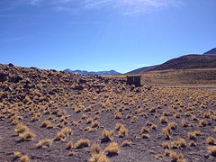 IMG_1101
