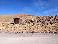 IMG_1103