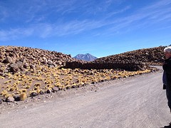 IMG_1104