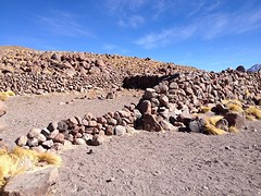 IMG_1107