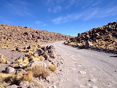 IMG_1108
