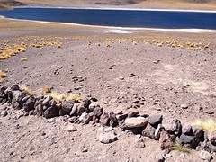 IMG_1114