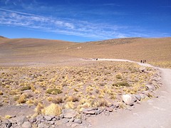 IMG_1115