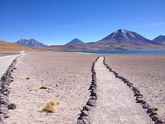 IMG_1117
