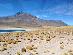 IMG_1121