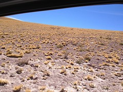 IMG_1122