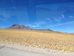 IMG_1124