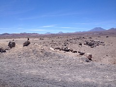 IMG_1142