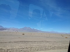 IMG_1154