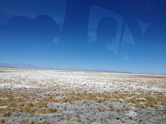 IMG_1156