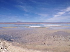 IMG_1164