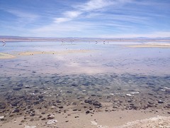 IMG_1166