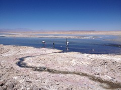 IMG_1167