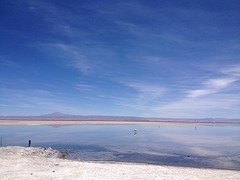 IMG_1169